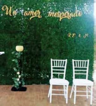 Photocall verde de boj
